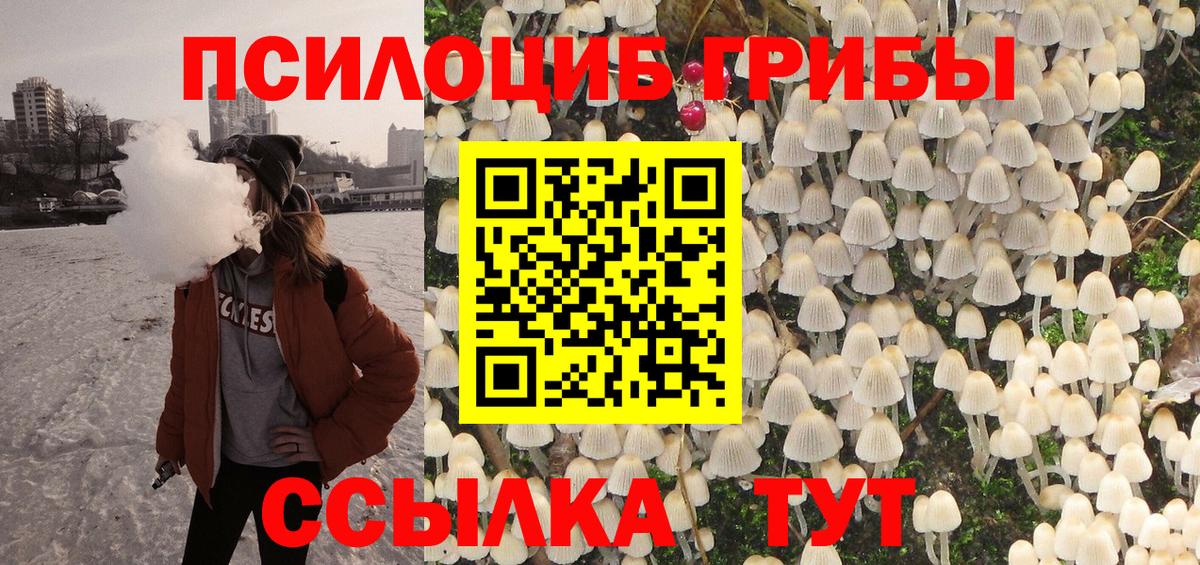 Галлюциногенные грибы мицелий  купить наркотик  Ачхой-Мартан  Галлюциногенные грибы Psilocybe  Вход с VPN 